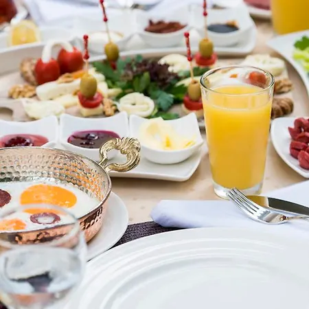 Otto Palace 3* Олимпос